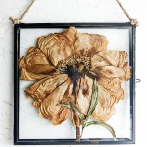giant coral peony pressed preserved flowers wedding picture frame