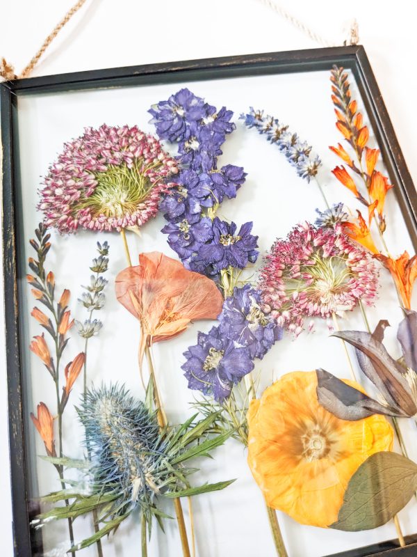 Summer garden pressed flowers floral art allium delphinium lavender preservation preserved
