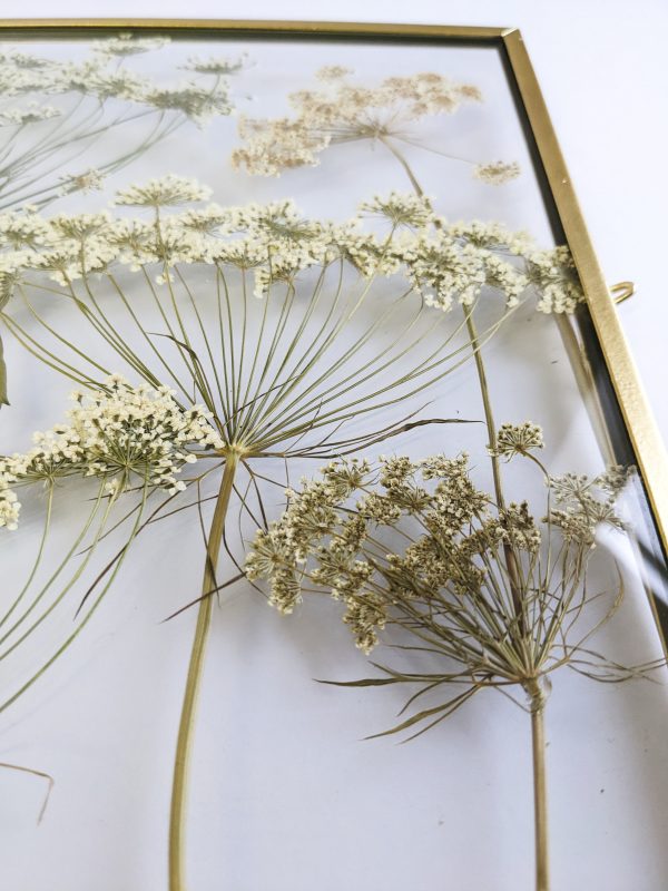 Wild cow parsley pressed preserved preservation gold picture frame flower art gift idea