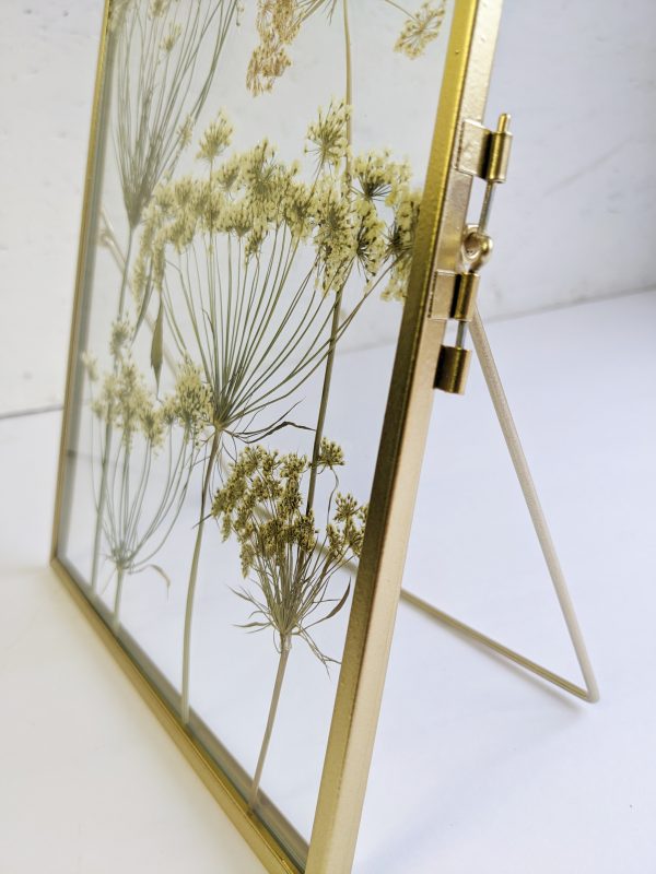 Wild cow parsley pressed preserved preservation gold picture frame flower art gift idea