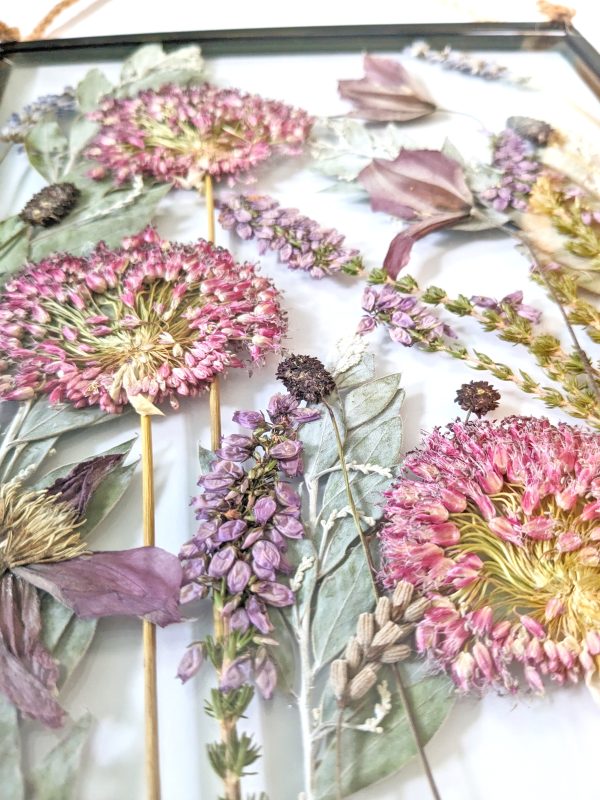 Wildflower pressed art preserved preservation garden alliums lavender clematis floral picture gift