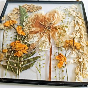 pressed spring tulips flowers yellow golden preservation preserved floral art frame gift picture