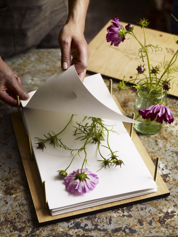 Press kits DIY flower pressing