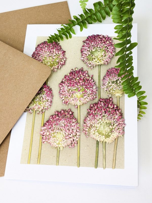 allium botanical gift cards pressed flowers birthday occasion cards