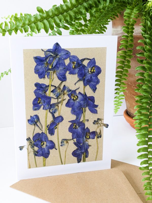 blue delphinium botanical gift cards pressed flowers birthday occasion cards