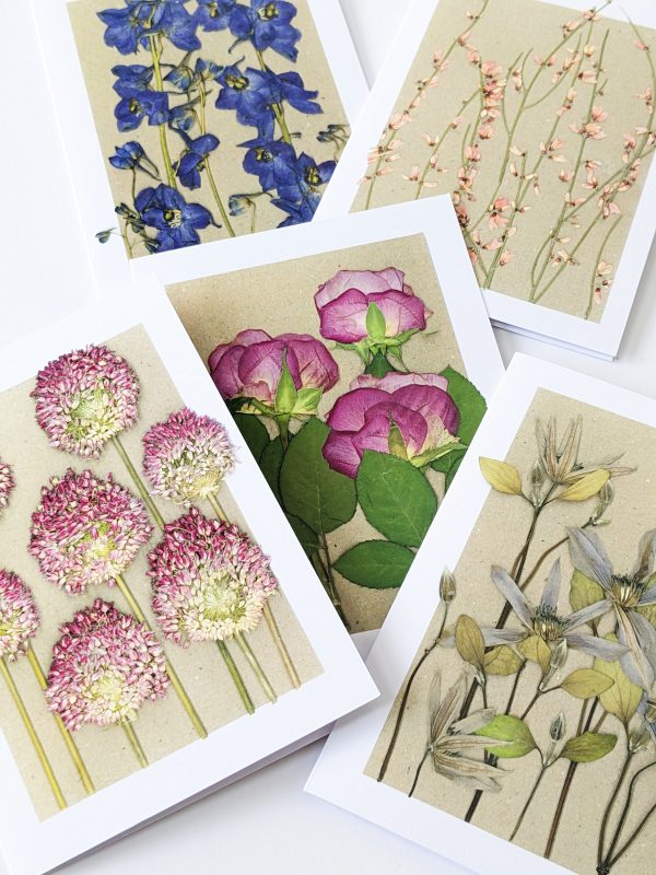 botanical gift cards pressed flowers birthday occasion cards