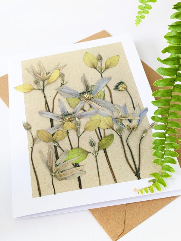 clematis pressed flower gift cards occasion cards flower floral handmade birthday blank cards