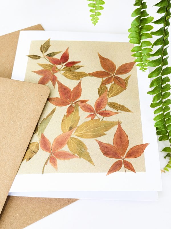 maple Canadian ivy autumn pressed flower gift cards occasion cards flower floral handmade blank card