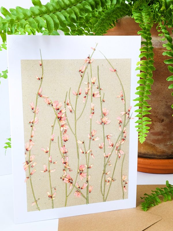 pink blossom botanical gift cards pressed flowers birthday occasion cards