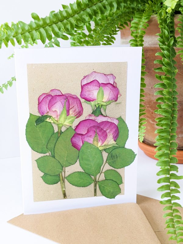 wild pink rose botanical gift cards pressed flowers birthday occasion cards