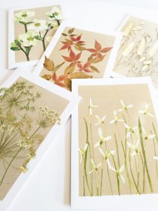 winter botanical pressed flower cards luxury gift occasion card set snow drops wild grasses autumn