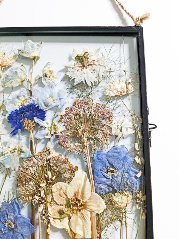Pressed delphinium cornflower allium sea breeze flowers floral art preserved preservation wedding