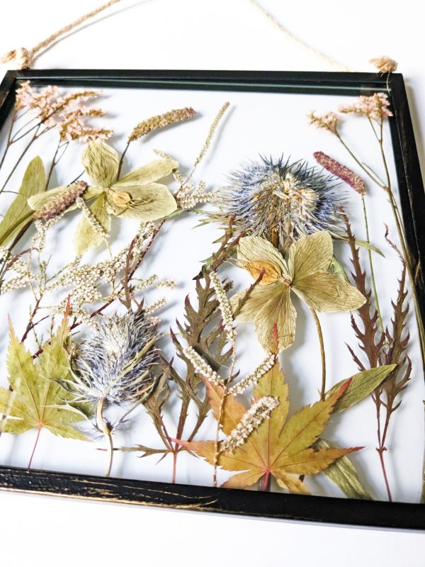 Fading autumn leaves pressed flowers floral art artist preserved preservation wedding flowers gifts