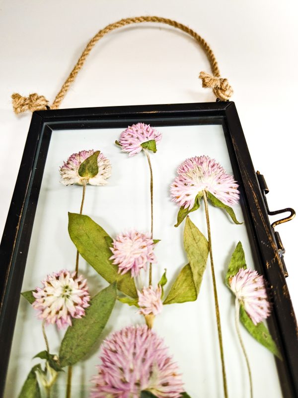 baby pink seed heads pressed preserved preservation flowers floral artist wedding flower bouquet art