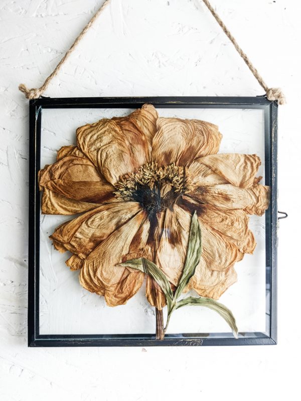 giant coral peony pressed preserved flowers wedding picture frame