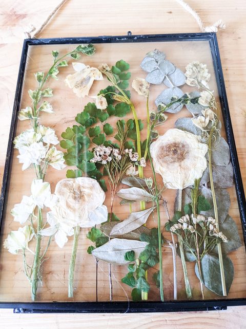 bridal-bouquet-preservation-dorset-foliage-white-flower-pressed-preserved (1)