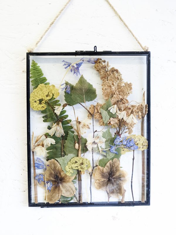 woodland flowers foliage spring pressed preserved flowers picture frame ferns, bluebell