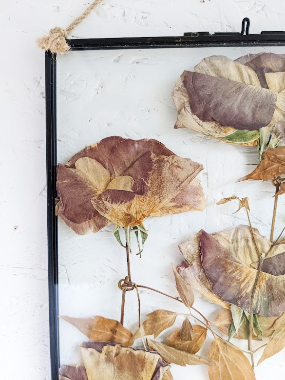 antique garden rose pressed preserved preservation flowers picture frame