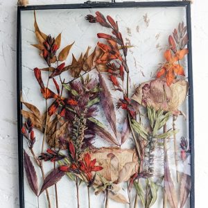 autumn pressed preserved garden flower wild rose picture frame flowers