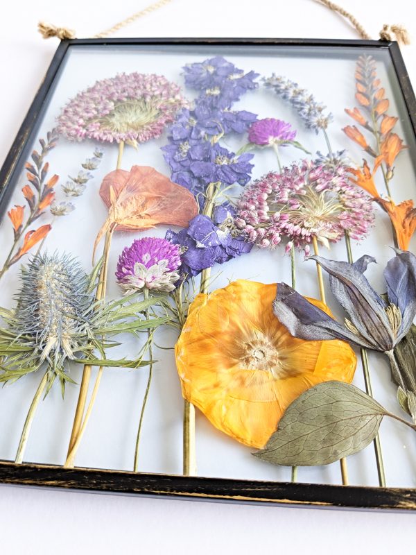botanical garden pressed flowers preserved preservation floral art picture gift ideas