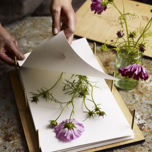 Press kits DIY flower pressing