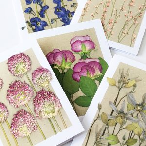 botanical gift cards pressed flowers birthday occasion cards