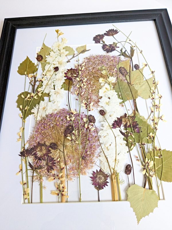Pressed alliums woodland flowers preservation preserved floral art picture frame gift