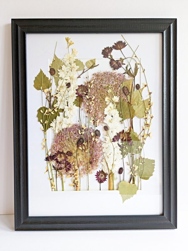 Pressed alliums woodland flowers preservation preserved floral art picture frame gift