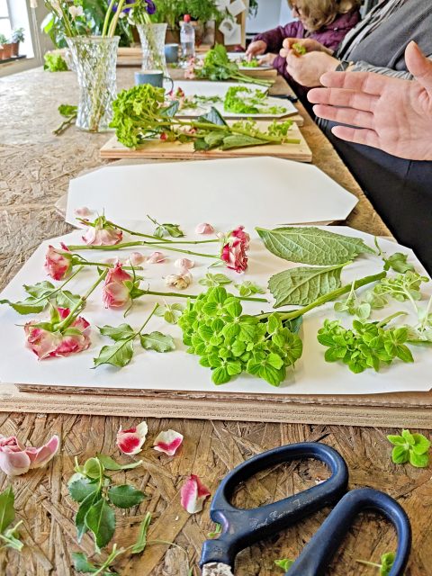 pressed flower workshops DIY flower pressing learn how to preserve flowers preservation craft class