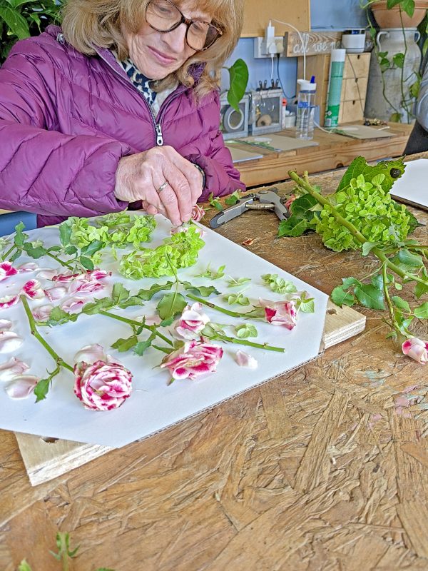 pressed flower workshops DIY flower pressing learn how to preserve flowers preservation craft class