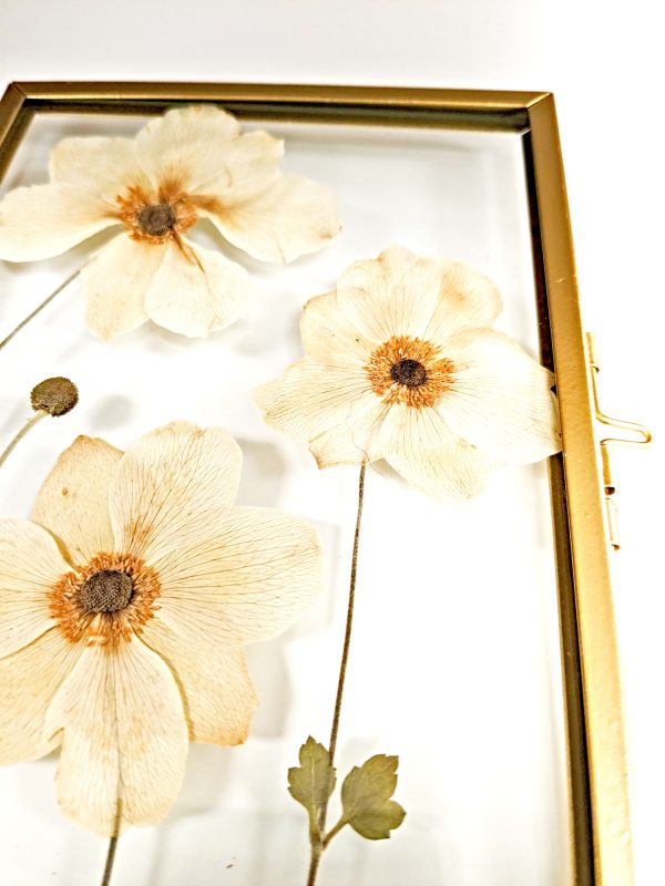 Japanese anemone pressed preserved preservation flower floral artist art wedding bouquet dorset