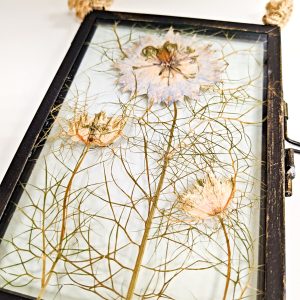 blue love in the mist nigella pressed preserved preservation flowers floral art gift ideas picture frame present