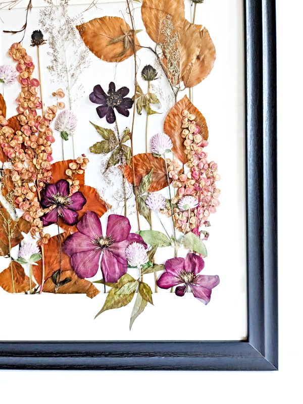 Pink pressed preserved wildflowers autumn leaves floral art gift picture