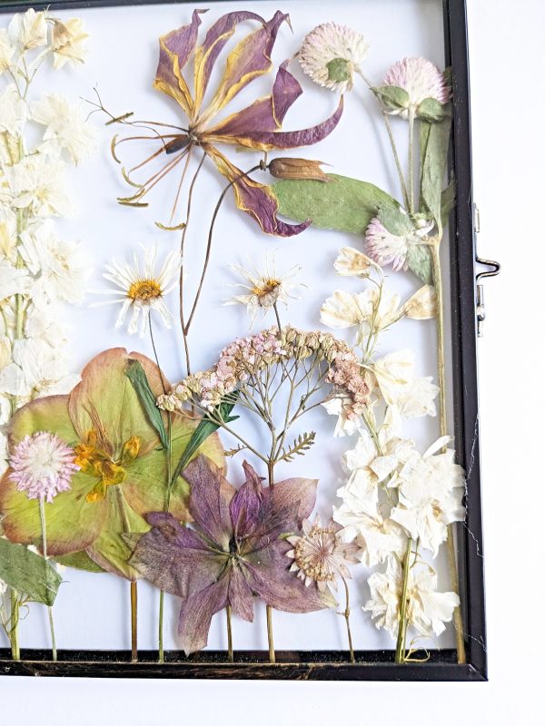 Hazy garden wild flowers pressed preserved preservation floral art picture hanging frame gift ideas