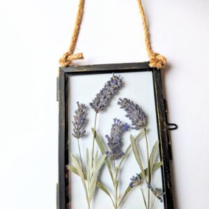 Fresh pressed dried lavender floral art 4-6" black metal frame real glass hanging picture gift idea present for mums her