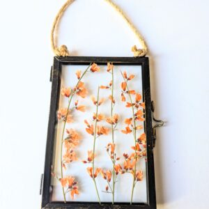orange scented blossom garden flower dried pressed preserved into wall hanging floral art black metal frame with glass both sides and rope hanger perfect gift for her birthday mothers day Christmas
